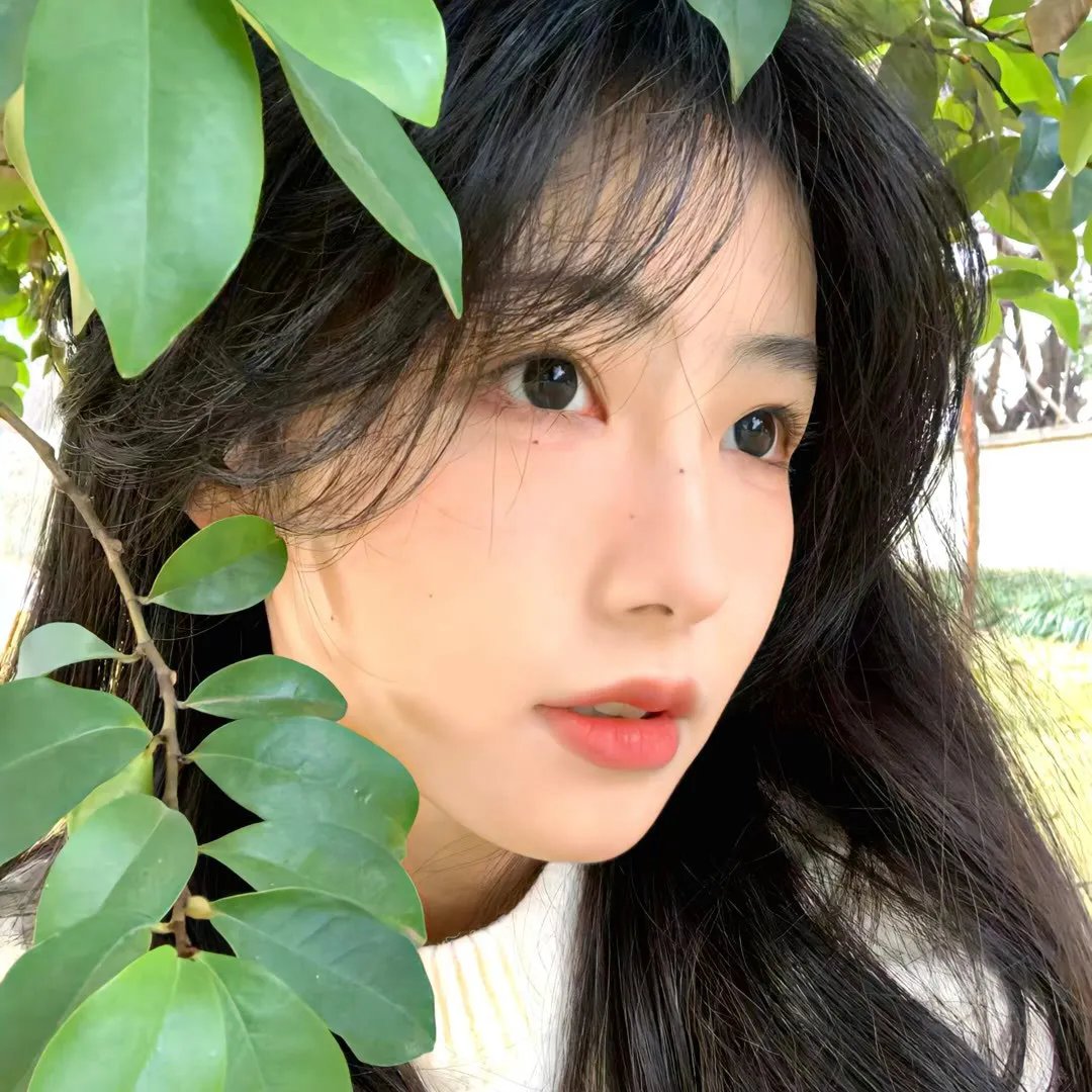 一路向南